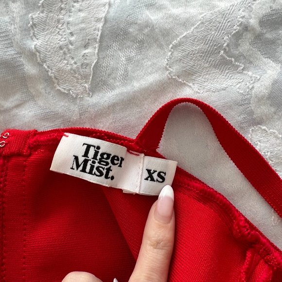 Tiger Mist Red Bodycon Dress - Picture 6 of 7